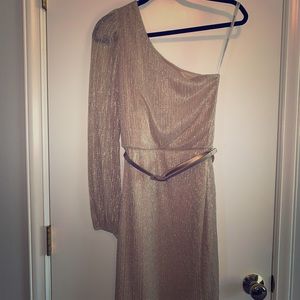 Bisou Bisou Michelle Bombot one sleeve dress